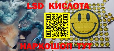 a pvp Славгород