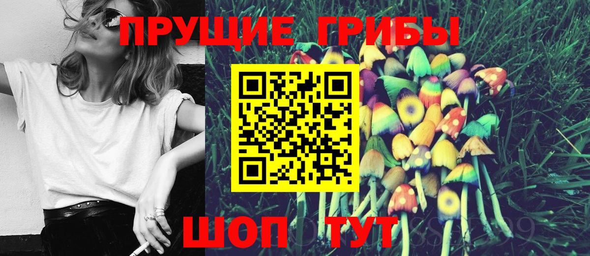 Благовещенск  Псилоцибиновые грибы MAGIC MUSHROOMS  Вход с VPN 